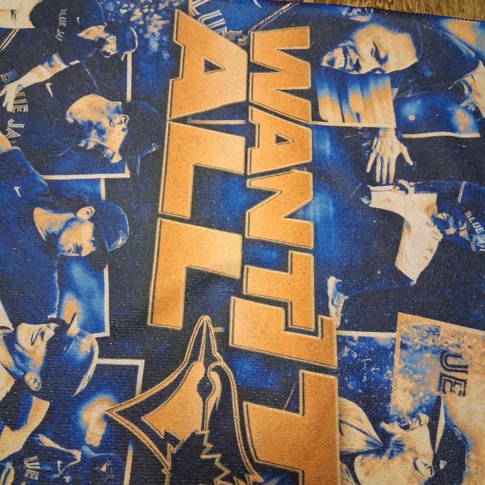 Toronto Blue Jays 2025 WANT IT ALL FanTowel - Picture 6 of 6